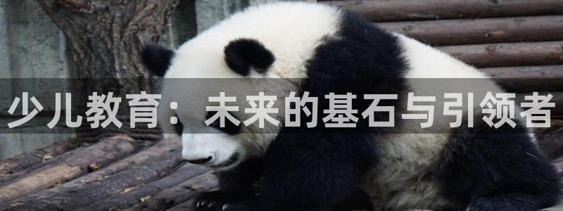 鸿运策略平台