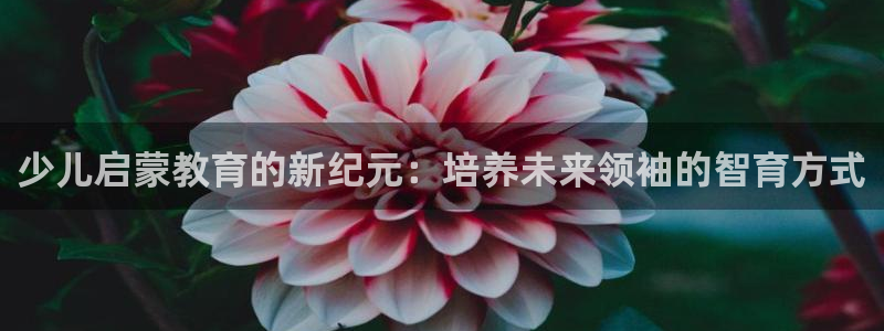 鸿运下注平台