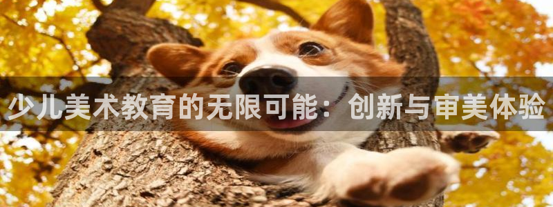 鸿运游戏平台投注