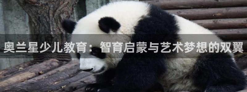 九九鸿运平台