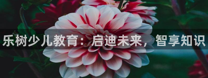 鸿运公司有哪些平台
