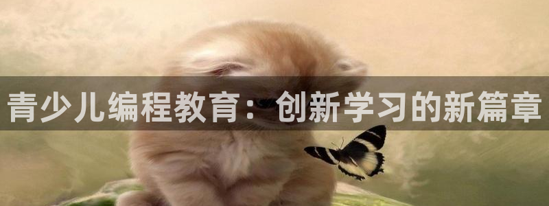 鸿运注册平台闪电