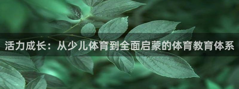 琥珀鸿运平台靠谱吗