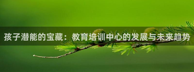 鸿运宝投资平台