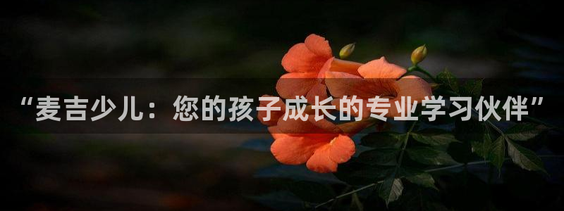 鸿运彩票 的平台