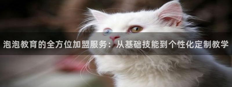 鸿运国际娱乐平台