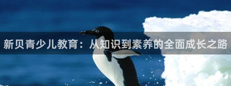 鸿运策略平台股票骗局