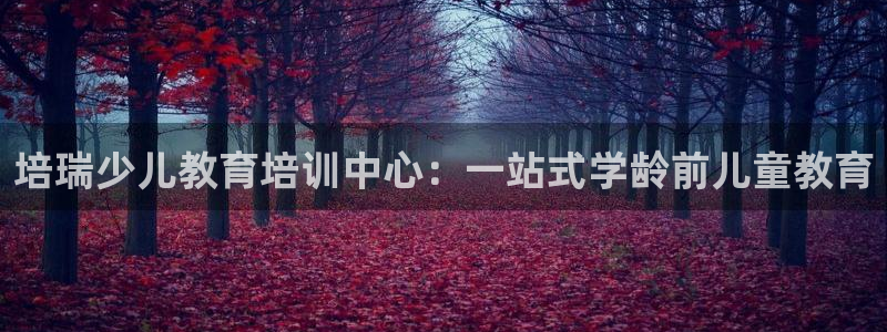 鸿运是哪里平台