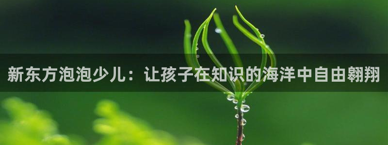 鸿运汽车团购平台