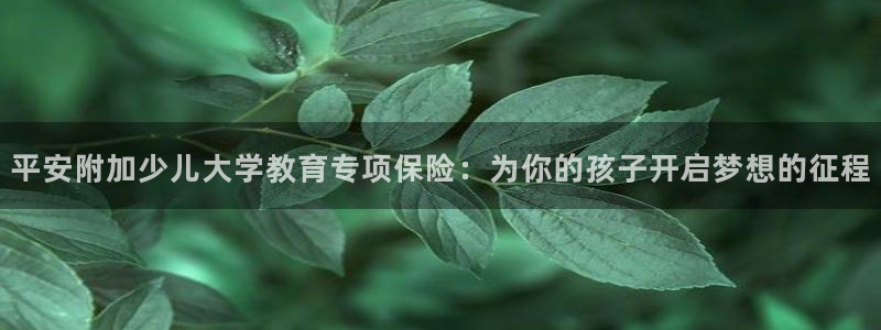 鸿运国际平台网址