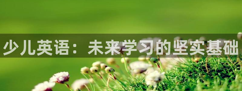 鸿运商通管理平台