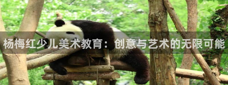 新鸿运股票平台