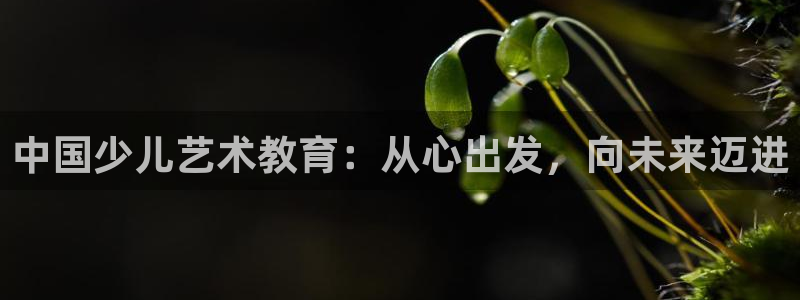 琥珀鸿运平台登录页面