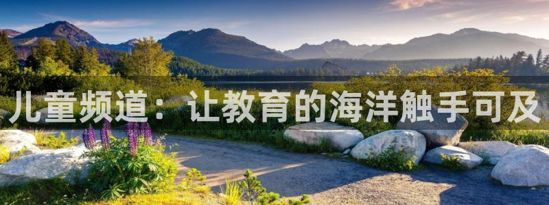 大发平台鸿运彩票