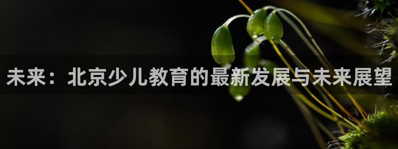 鸿运集团直播卖货平台